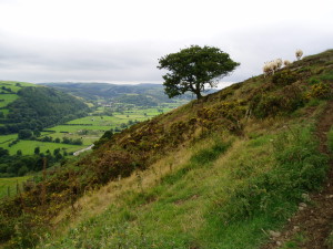 Offa's Dyke Path near Knighton