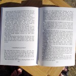 Text in the large print edition of Sworn Sword