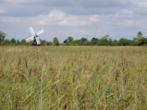 Wicken Fen