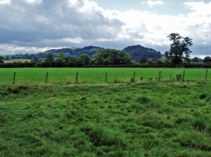 Montgomery Castle from the north-east