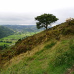 Offa's Dyke Path near Knighton